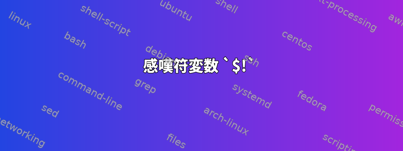 感嘆符変数 `$!`