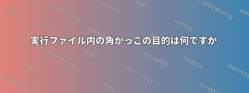 実行ファイル内の角かっこの目的は何ですか