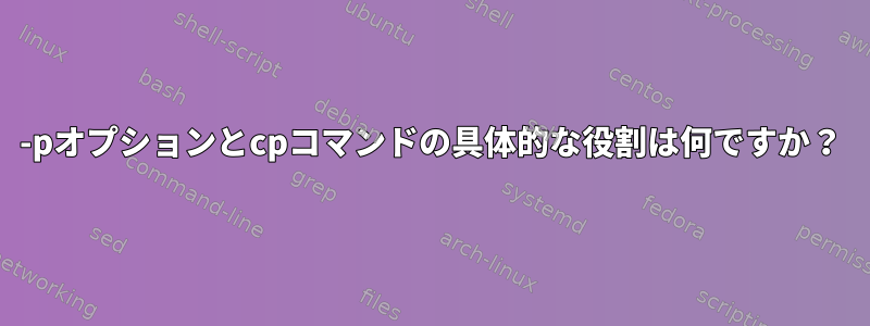 -pオプションとcpコマンドの具体的な役割は何ですか？