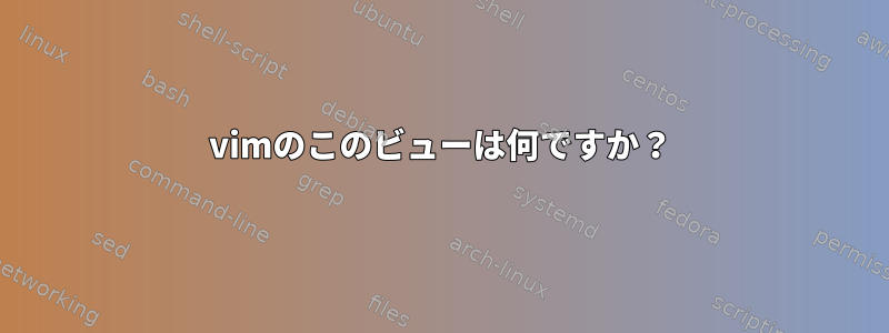 vimのこのビューは何ですか？