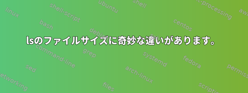 lsのファイルサイズに奇妙な違いがあります。