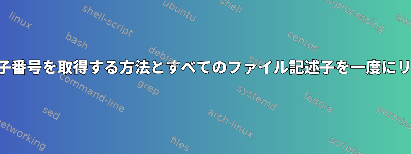 出力のファイル記述子番号を取得する方法とすべてのファイル記述子を一度にリダイレクトする方法