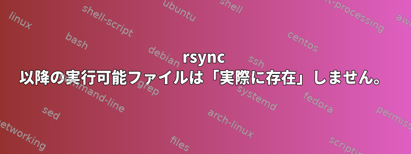 rsync 以降の実行可能ファイルは「実際に存在」しません。