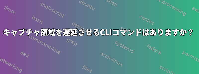 キャプチャ領域を遅延させるCLIコマンドはありますか？