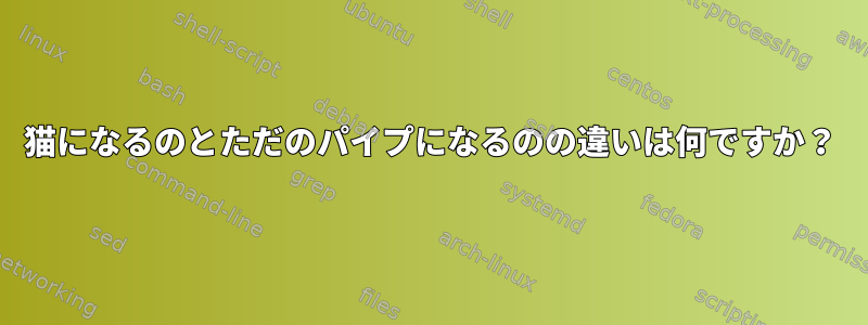 猫になるのとただのパイプになるのの違いは何ですか？