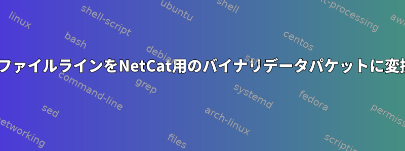 ASCIIファイルラインをNetCat用のバイナリデータパケットに変換する