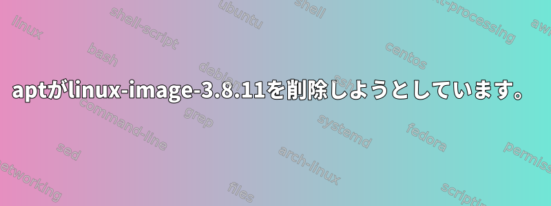 aptがlinux-image-3.8.11を削除しようとしています。