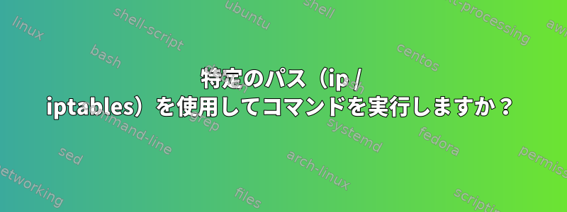 特定のパス（ip / iptables）を使用してコマンドを実行しますか？