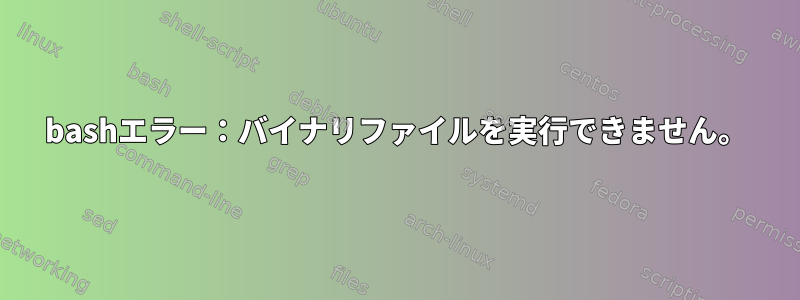 bashエラー：バイナリファイルを実行できません。