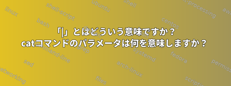 「|」とはどういう意味ですか？ catコマンドのパラメータは何を意味しますか？