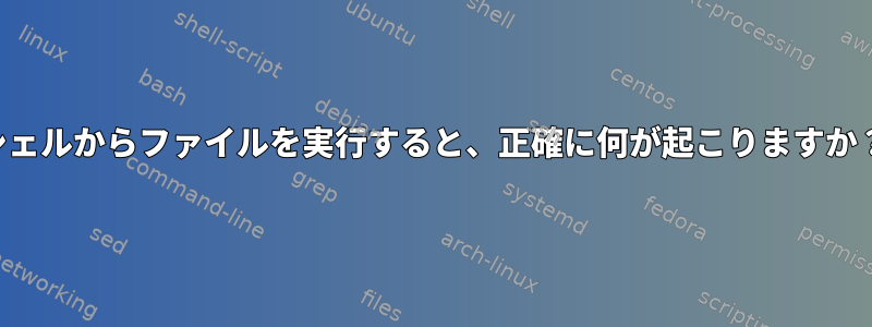 シェルからファイルを実行すると、正確に何が起こりますか？