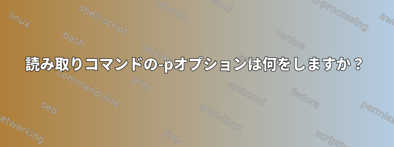 読み取りコマンドの-pオプションは何をしますか？