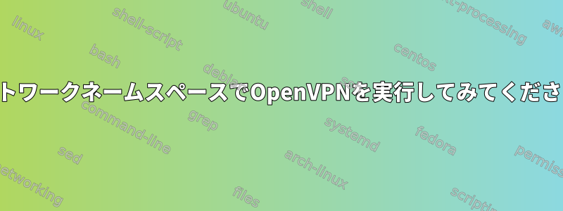 ネットワークネームスペースでOpenVPNを実行してみてください。