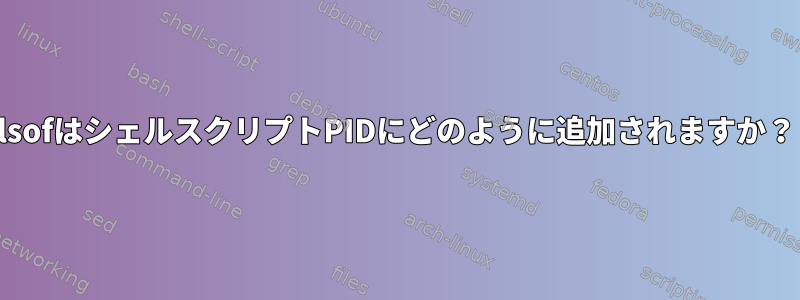 lsofはシェルスクリプトPIDにどのように追加されますか？