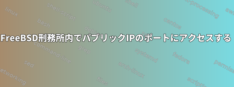 FreeBSD刑務所内でパブリックIPのポートにアクセスする