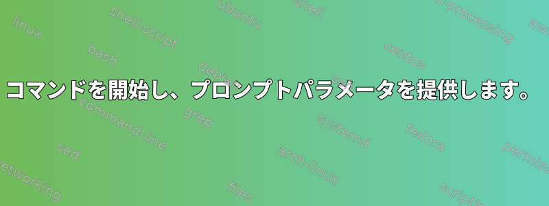 コマンドを開始し、プロンプトパラメータを提供します。