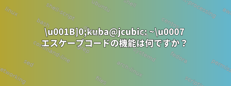 \u001B]0;kuba@jcubic: ~\u0007 エスケープコードの機能は何ですか？