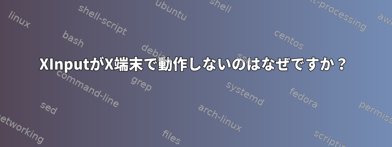 XInputがX端末で動作しないのはなぜですか？