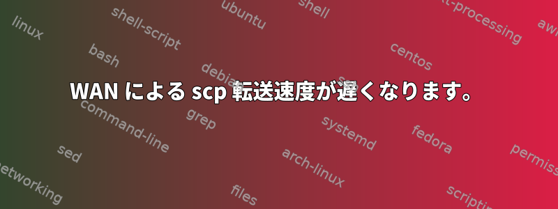 WAN による scp 転送速度が遅くなります。