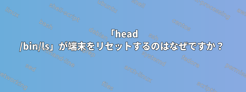 「head /bin/ls」が端末をリセットするのはなぜですか？