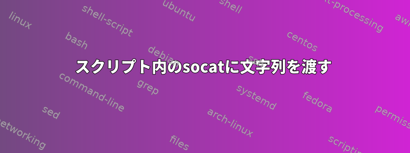 スクリプト内のsocatに文字列を渡す