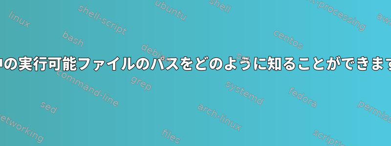 実行中の実行可能ファイルのパスをどのように知ることができますか？