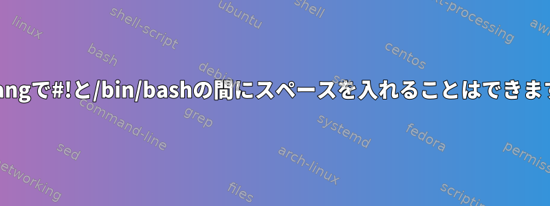 Shebangで#!と/bin/bashの間にスペースを入れることはできますか？