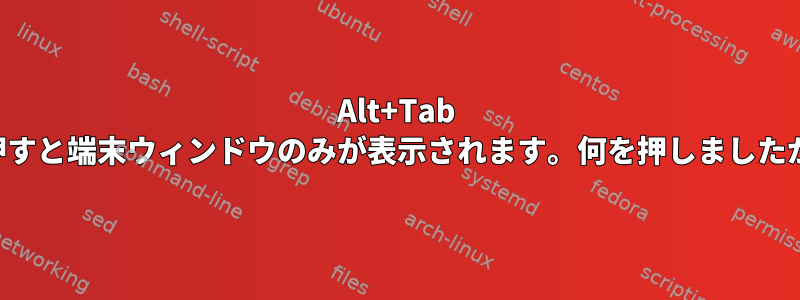 Alt+Tab を押すと端末ウィンドウのみが表示されます。何を押しましたか？