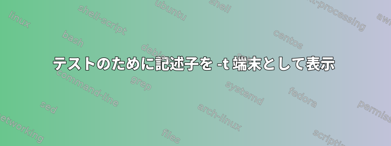 テストのために記述子を -t 端末として表示