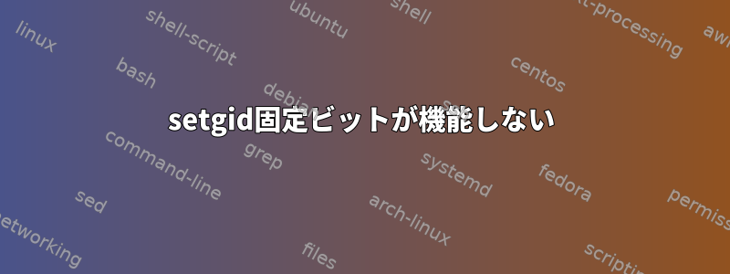 setgid固定ビットが機能しない