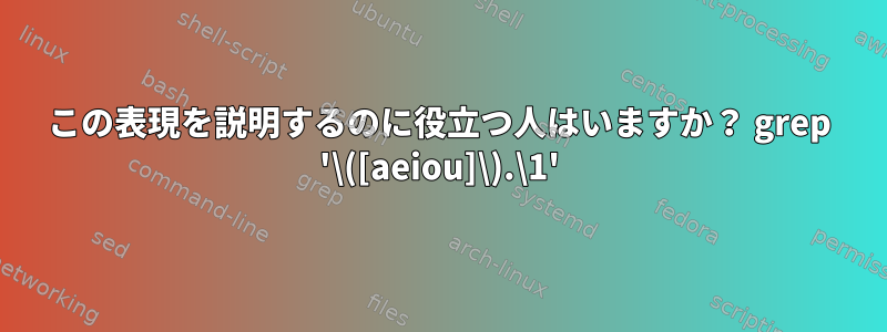 この表現を説明するのに役立つ人はいますか？ grep '\([aeiou]\).\1'