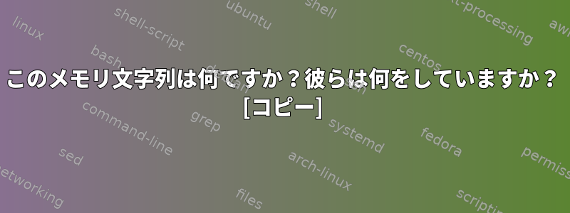 このメモリ文字列は何ですか？彼らは何をしていますか？ [コピー]