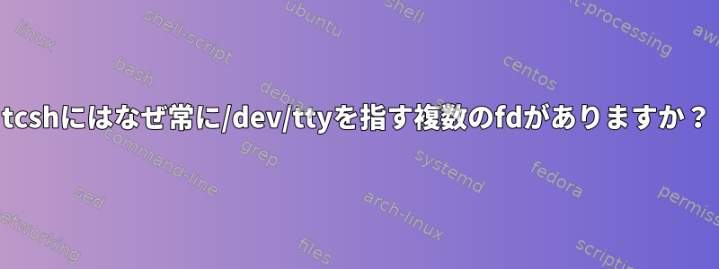 tcshにはなぜ常に/dev/ttyを指す複数のfdがありますか？