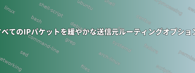 特定のIPアドレスに対してすべてのIPパケットを緩やかな送信元ルーティングオプションで永久に設定できますか？