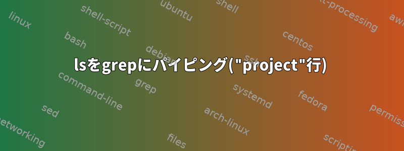 lsをgrepにパイピング("project"行)