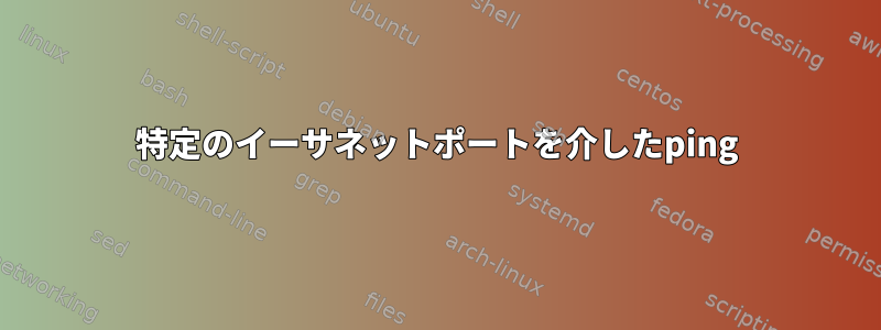 特定のイーサネットポートを介したping