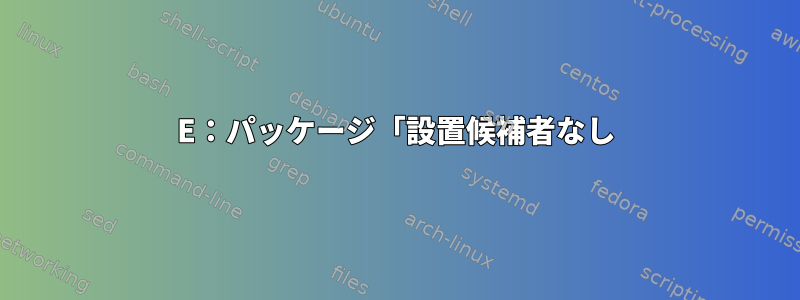 E：パッケージ「設置候補者なし