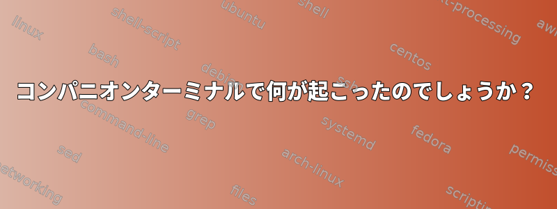 コンパニオンターミナルで何が起こったのでしょうか？