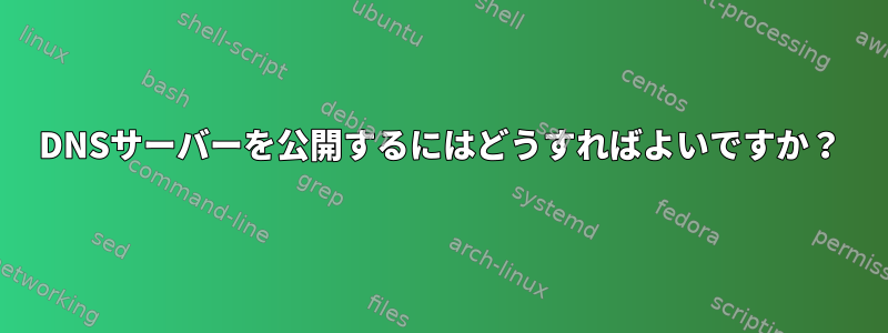 DNSサーバーを公開するにはどうすればよいですか？