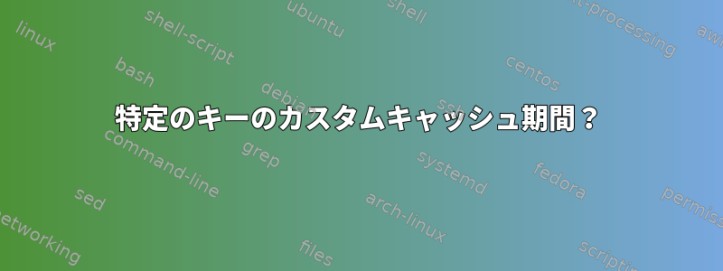 特定のキーのカスタムキャッシュ期間？