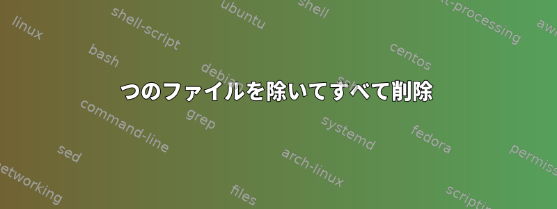 2つのファイルを除いてすべて削除