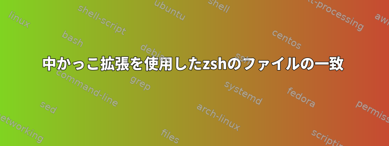 中かっこ拡張を使用したzshのファイルの一致