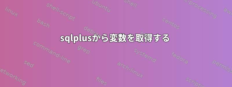 sqlplusから変数を取得する