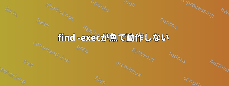 find -execが魚で動作しない