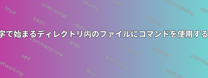 特殊文字で始まるディレクトリ内のファイルにコマンドを使用するには？