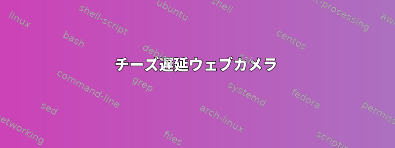 チーズ遅延ウェブカメラ