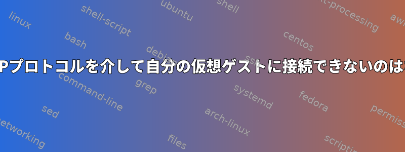 ホストがHTTPプロトコルを介して自分の仮想ゲストに接続できないのはなぜですか？