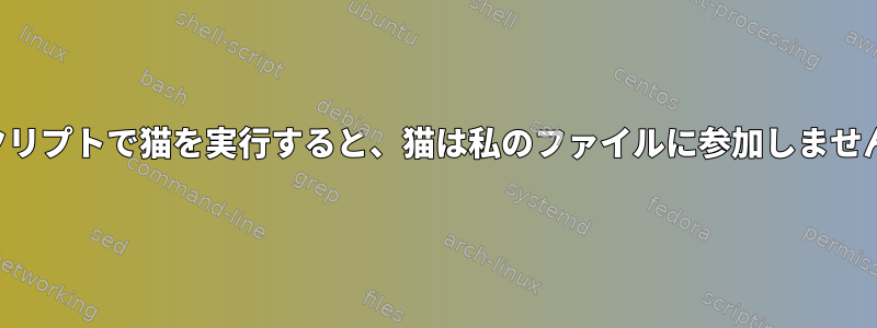 スクリプトで猫を実行すると、猫は私のファイルに参加しません。