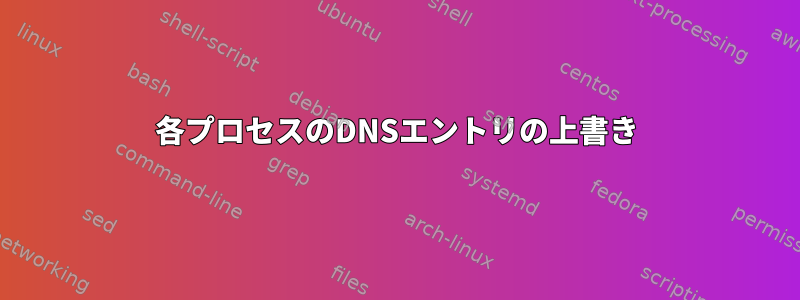 各プロセスのDNSエントリの上書き