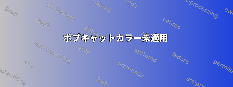 ボブキャットカラー未適用